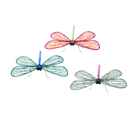 Dragonfly, Lg Asst 6''x12''x3''