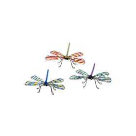 Dragon Fly Small 3''x5''x2''