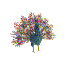 Peacock, Multi 10''x16''x13''