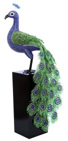 Peacock, XL 15.5''x7''x38''