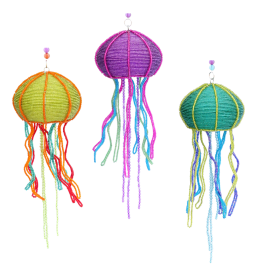 Jelly Fish, Asst