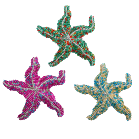 Starfish, Sm  Asst 5''x5''x1''