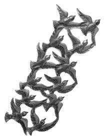 Birds in Flights 34"x14"