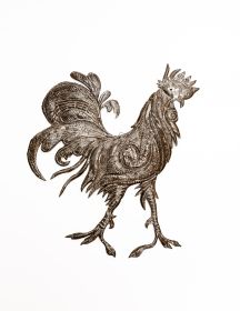 The Rooster 22.5''x20''