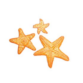 Painted Sea Stars-Set Of 3 8''x6''x3''
