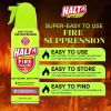 HALT! Handheld Fire Fighting Foam Spray â€“ Non-Toxic, Easy to Use, Store, and Find in Emergency â€“ Compact & Portable â€“ Ideal for Home, Kitchen