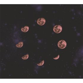 TAP -- Wall Covering Fabric (Option: TAP098-150x170cm)